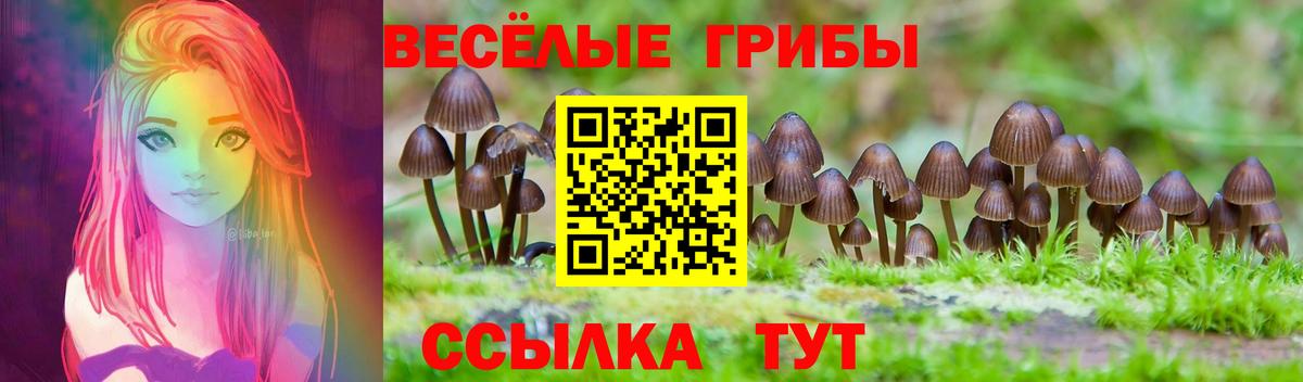 Североморск  хочу наркоту  Псилоцибиновые грибы мухоморы  Вход с VPN  Галлюциногенные грибы Cubensis 